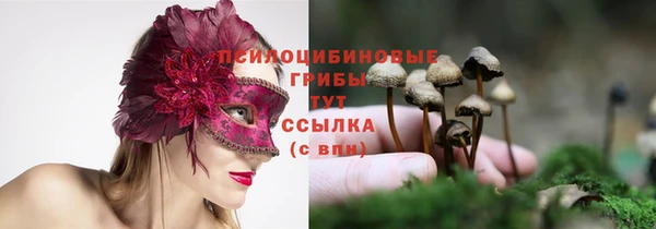 ПСИЛОЦИБИНОВЫЕ ГРИБЫ Куйбышев