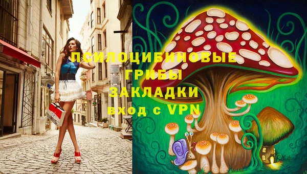 ПСИЛОЦИБИНОВЫЕ ГРИБЫ Куйбышев