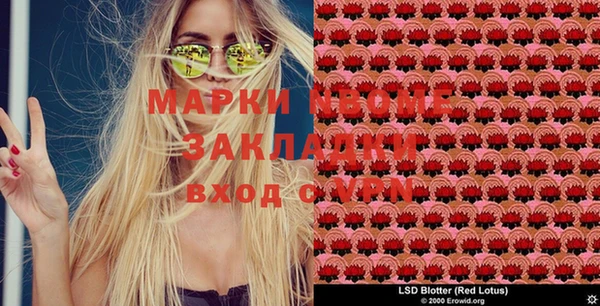 ПСИЛОЦИБИНОВЫЕ ГРИБЫ Куйбышев