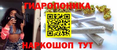 крисы Мариинск