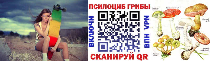 Галлюциногенные грибы Magic Shrooms  kraken как войти  Электросталь 