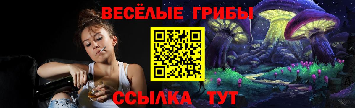 Галлюциногенные грибы Psilocybine cubensis  Вход с VPN  Электросталь  Галлюциногенные грибы Psilocybine cubensis 
