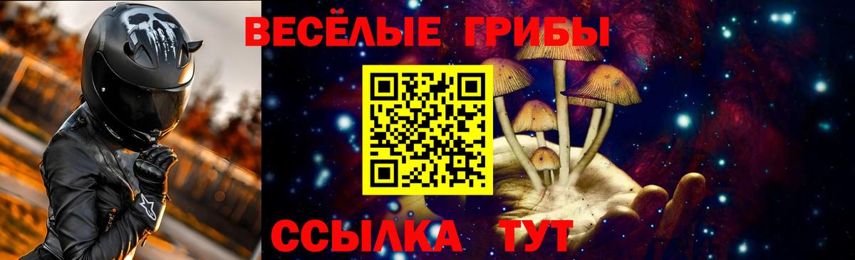 Галлюциногенные грибы Magic Shrooms  Электросталь  Галлюциногенные грибы GOLDEN TEACHER 